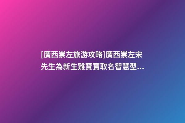 [廣西崇左旅游攻略]廣西崇左宋先生為新生雞寶寶取名智慧型套餐-第1張-公司起名-玄機派